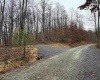 TRACT 9B ISNER Run, Elkins, West Virginia 26241, ,Lots/land,For Sale,ISNER,10157486