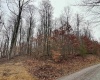 TRACT 9B ISNER Run, Elkins, West Virginia 26241, ,Lots/land,For Sale,ISNER,10157486