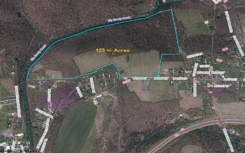 400 Main Street, Brandonville, West Virginia 26525, ,Lots/land,For Sale,Main,10157501