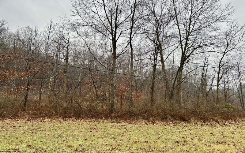 1249 Lot 8 Four States Road, Four States, West Virginia 26572, ,Lots/land,For Sale,Four States,10157516