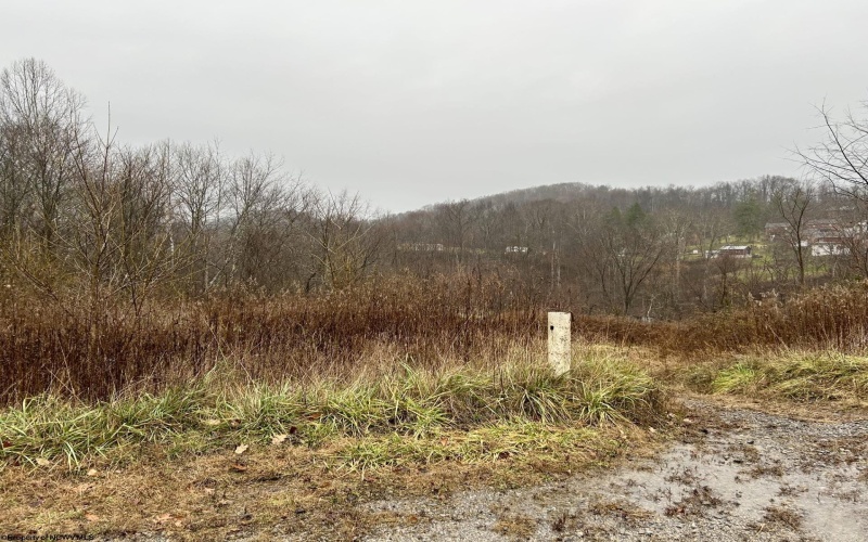 1249 Lot 8 Four States Road, Four States, West Virginia 26572, ,Lots/land,For Sale,Four States,10157516