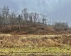 1249 Lot 8 Four States Road, Four States, West Virginia 26572, ,Lots/land,For Sale,Four States,10157516