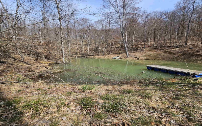 6531 Lake Lane Road, Heaters, West Virginia 26627, 2 Bedrooms Bedrooms, 7 Rooms Rooms,1 BathroomBathrooms,Single Family Detached,For Sale,Lake Lane,10157540