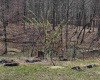 6531 Lake Lane Road, Heaters, West Virginia 26627, 2 Bedrooms Bedrooms, 7 Rooms Rooms,1 BathroomBathrooms,Single Family Detached,For Sale,Lake Lane,10157540