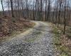 6531 Lake Lane Road, Heaters, West Virginia 26627, 2 Bedrooms Bedrooms, 7 Rooms Rooms,1 BathroomBathrooms,Single Family Detached,For Sale,Lake Lane,10157540