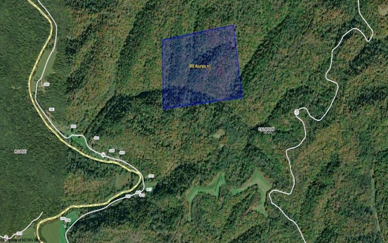 Parcel 12 West Fork Road, Creston, West Virginia 26141, ,Lots/land,For Sale,West Fork,10157554