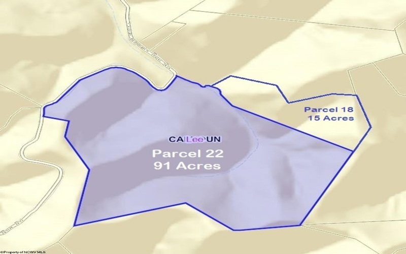 Parcel 22 Little Rowels Run Road, Creston, West Virginia 26141, ,Lots/land,For Sale,Little Rowels Run,10157562