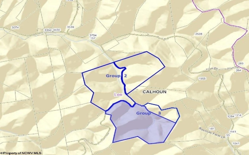 Parcel 22 Little Rowels Run Road, Creston, West Virginia 26141, ,Lots/land,For Sale,Little Rowels Run,10157562