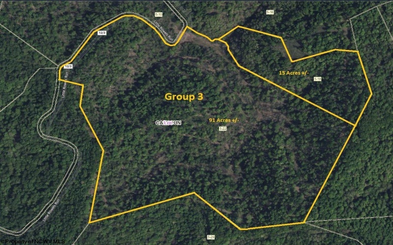 Parcel 22 Little Rowels Run Road, Creston, West Virginia 26141, ,Lots/land,For Sale,Little Rowels Run,10157562