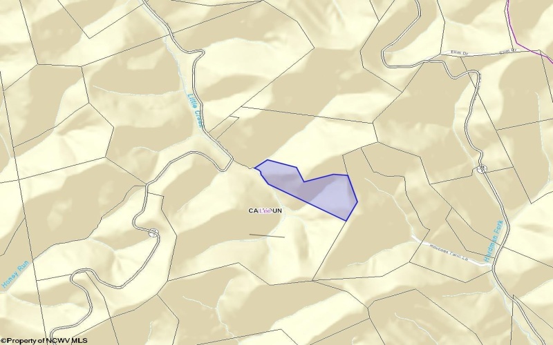 Parcel 22 Little Rowels Run Road, Creston, West Virginia 26141, ,Lots/land,For Sale,Little Rowels Run,10157562