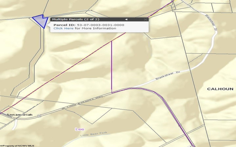 Parcel 14 West Little Kanawha Highway, Creston, West Virginia 26141, ,Lots/land,For Sale,West Little Kanawha,10157563