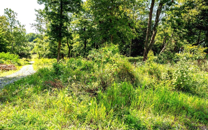 000 Bowers Lane, Morgantown, West Virginia 26508, ,Lots/land,For Sale,Bowers,10156023