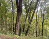 TBD KUMBRABOW FOREST Road, Huttonsville, West Virginia 26273, ,Lots/land,For Sale,KUMBRABOW FOREST,10155777