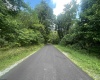 TBD KUMBRABOW FOREST Road, Huttonsville, West Virginia 26273, ,Lots/land,For Sale,KUMBRABOW FOREST,10155777