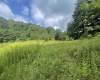 TBD KUMBRABOW FOREST Road, Huttonsville, West Virginia 26273, ,Lots/land,For Sale,KUMBRABOW FOREST,10155777