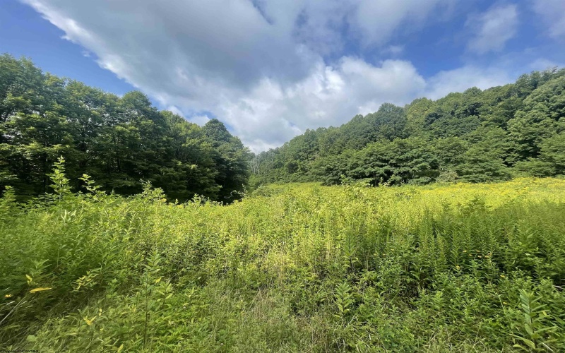 TBD KUMBRABOW FOREST Road, Huttonsville, West Virginia 26273, ,Lots/land,For Sale,KUMBRABOW FOREST,10155777