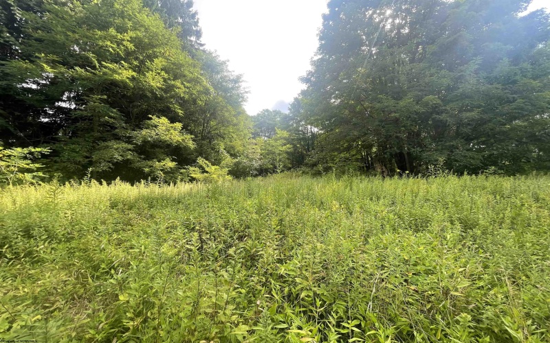 TBD KUMBRABOW FOREST Road, Huttonsville, West Virginia 26273, ,Lots/land,For Sale,KUMBRABOW FOREST,10155777