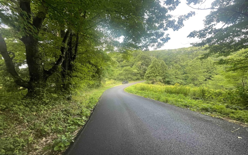 TBD KUMBRABOW FOREST Road, Huttonsville, West Virginia 26273, ,Lots/land,For Sale,KUMBRABOW FOREST,10155777