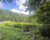 TBD KUMBRABOW FOREST Road, Huttonsville, West Virginia 26273, ,Lots/land,For Sale,KUMBRABOW FOREST,10155777