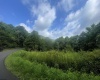 TBD KUMBRABOW FOREST Road, Huttonsville, West Virginia 26273, ,Lots/land,For Sale,KUMBRABOW FOREST,10155777