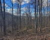 TBD Keller Hill Road, Belington, West Virginia 26260, ,Lots/land,For Sale,Keller Hill,10157596