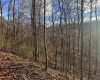 TBD Keller Hill Road, Belington, West Virginia 26260, ,Lots/land,For Sale,Keller Hill,10157596