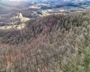 0 Morgantown Pike, Belington, West Virginia 26260, ,Lots/land,For Sale,Morgantown,10157597