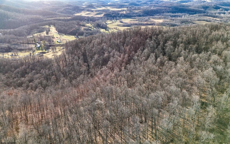 0 Morgantown Pike, Belington, West Virginia 26260, ,Lots/land,For Sale,Morgantown,10157597