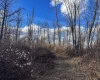 0 Morgantown Pike, Belington, West Virginia 26260, ,Lots/land,For Sale,Morgantown,10157597