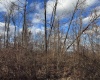 0 Morgantown Pike, Belington, West Virginia 26260, ,Lots/land,For Sale,Morgantown,10157597