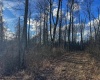 0 Morgantown Pike, Belington, West Virginia 26260, ,Lots/land,For Sale,Morgantown,10157597