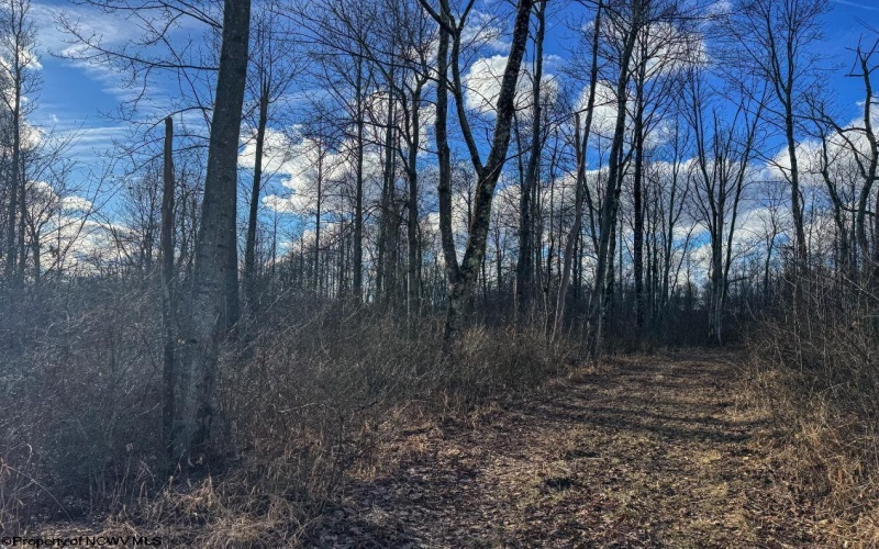 0 Morgantown Pike, Belington, West Virginia 26260, ,Lots/land,For Sale,Morgantown,10157597