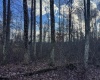 0 Morgantown Pike, Belington, West Virginia 26260, ,Lots/land,For Sale,Morgantown,10157597