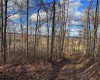 0 Morgantown Pike, Belington, West Virginia 26260, ,Lots/land,For Sale,Morgantown,10157597