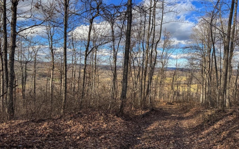 0 Morgantown Pike, Belington, West Virginia 26260, ,Lots/land,For Sale,Morgantown,10157597