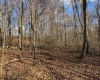 0 Morgantown Pike, Belington, West Virginia 26260, ,Lots/land,For Sale,Morgantown,10157597