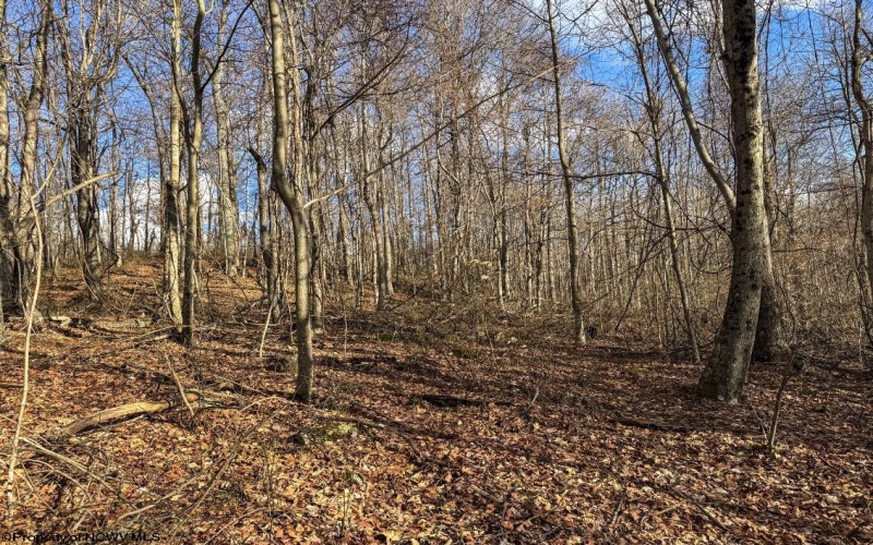 0 Morgantown Pike, Belington, West Virginia 26260, ,Lots/land,For Sale,Morgantown,10157597