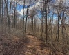 0 Morgantown Pike, Belington, West Virginia 26260, ,Lots/land,For Sale,Morgantown,10157597