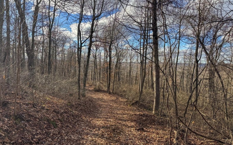 0 Morgantown Pike, Belington, West Virginia 26260, ,Lots/land,For Sale,Morgantown,10157597