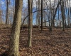 0 Morgantown Pike, Belington, West Virginia 26260, ,Lots/land,For Sale,Morgantown,10157597