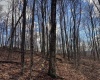0 Morgantown Pike, Belington, West Virginia 26260, ,Lots/land,For Sale,Morgantown,10157597