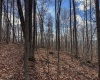 0 Morgantown Pike, Belington, West Virginia 26260, ,Lots/land,For Sale,Morgantown,10157597