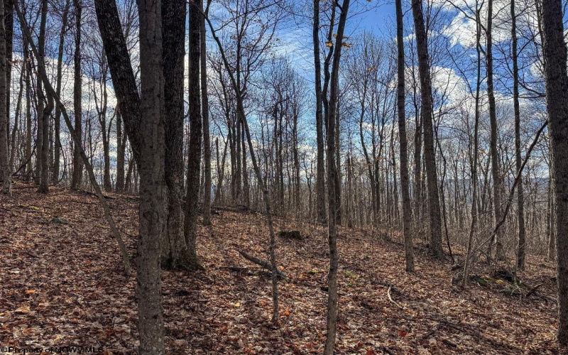 0 Morgantown Pike, Belington, West Virginia 26260, ,Lots/land,For Sale,Morgantown,10157597