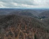 TBD Leaf View Lane, Ellamore, West Virginia 26267, ,Lots/land,For Sale,Leaf View,10157599