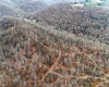 TBD Leaf View Lane, Ellamore, West Virginia 26267, ,Lots/land,For Sale,Leaf View,10157599