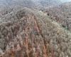 TBD Leaf View Lane, Ellamore, West Virginia 26267, ,Lots/land,For Sale,Leaf View,10157599