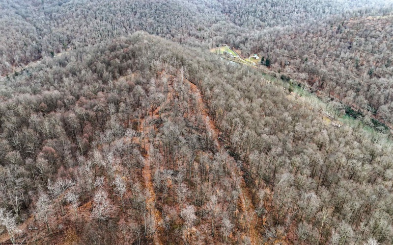TBD Leaf View Lane, Ellamore, West Virginia 26267, ,Lots/land,For Sale,Leaf View,10157599