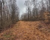 TBD Leaf View Lane, Ellamore, West Virginia 26267, ,Lots/land,For Sale,Leaf View,10157599