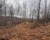 TBD Leaf View Lane, Ellamore, West Virginia 26267, ,Lots/land,For Sale,Leaf View,10157599