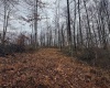 TBD Leaf View Lane, Ellamore, West Virginia 26267, ,Lots/land,For Sale,Leaf View,10157599